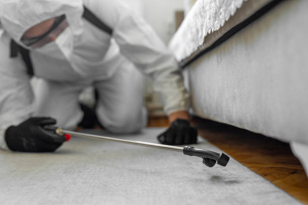 Professional Ant Control technician working in Kempner, TX