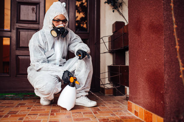Reliable Ant Control contractor in Kempner, TX by Show Me Pest Control